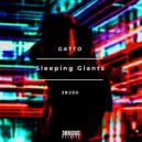 Gatto - While You're Sleeping