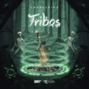 Chapeleiro & Thales Dumbra - Controle do LSD (Original Mix)