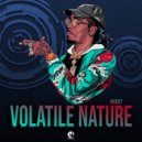R3ckzet - Volatile Nature