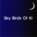 The Forgotten Man - Sky Birds Of Ki