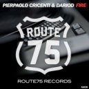 Pierpaolo Cricenti, DarioD - Fire (Original Mix)