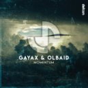 Gayax & Olbaid - Momentum