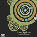 Dj 501 ft Prince Ndyler - Themba Lami (Sipho Ngubane Remix)