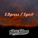 S.Opress - Like Painted Shards (Original Mix)