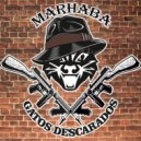 Gatos Descarados - Marhaba