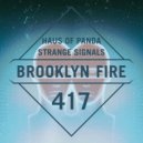 Haus of Panda - Strange Signals (Original Mix)