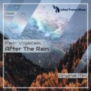Petr Vojacek - After the Rain