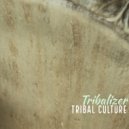 Tribalizer - Mexico (Original Mix)