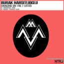 Burak Harsitlioglu - Dancing On The 7 Lotus