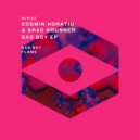 Cosmin Horatiu, Brad Brunner - Flame