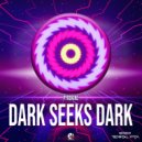 Pyrokine - Dark Seeks Dark (Original Mix)