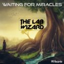 The Lab Wizard - Waiting for miracles