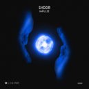 SHDDR - Floor Damage