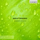 Bunch of Frequencies - Raindrops (hakan remix)