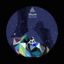 Shunt - Down to Earth