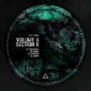 Volume A & Section 8 - Psychosis