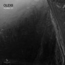 Olexii - False Integration