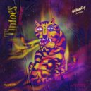 Tiptoes - Rhythms & Solos