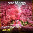 David Castro - Suyen (Original Mix)