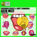 Brendan Ashley & Matt Edwards - Acid Melt