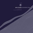 Petar Dundov - Synesthetic Flow (Patrice Baumel Remix)