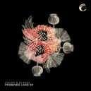 Zakari&Blange - Earth Colors (Original Mix)
