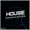 Dimizer Feat. Lily And  Wolf - You Gave Me Love (Original Mix)