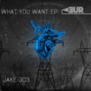 Jake 303 - What You Want