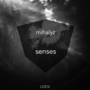 Mihalyz - Senses (Ornery Remix)