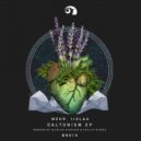 Mehr, Iislaa - Daltonism (Nicolas Duvoisin Remix)