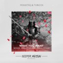 Monoteq & Toricos - What You Want