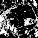 Biome - Squelch