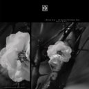 Dorian Gray - Transcending the Lotus