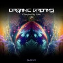 Perfect Disarray - Ancient Earth (Original Mix)