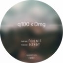 q100 & Dmg - Fossil