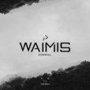 Waimis - Downfall
