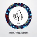 Aney F. - Take Me Back