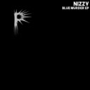 Nizzy - Next Level