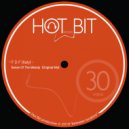 FDF (Italy) - Sense Of The Melody (Original Mix)