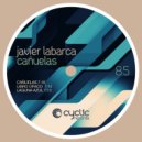 Javier Labarca - Laguna Azul