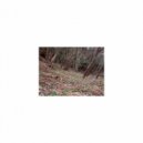 Mindfulness Healing Bgm Project - Hyperbolic Curve & Bgm