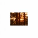 Mindfulness Healing Bgm Project - Marco Polo & Acoustic (Original Mix)