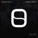 Britton - Asylum (Shmitty Remix)