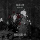 Apølion - Next Level (Original Mix)