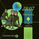 DJ Peisch - PRONOIA