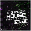 Flucky - Madness (Original Mix)