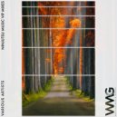 Tarcan Gul - Secret Tunnel (Alternate VIP Mix)