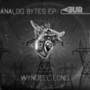 Wyndell Long - Do it while you can (Original Mix)