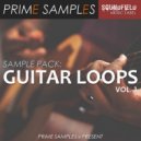 Prime Samples - Nylon Guitar Sample (Original Mix)