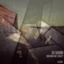 DJ Vianu - Driving Me Crazy
